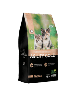 Agility-Gold-Gatitos-1-AMEANIMAL1