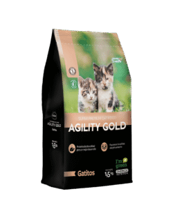 Agility-Gold-Gatitos-1-AMEANIMAL1