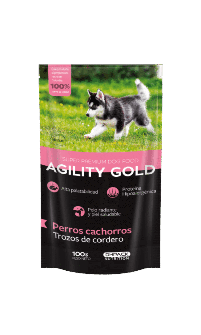 Agility-Gold-Puche-Cachorros-AMEANIMAL1
