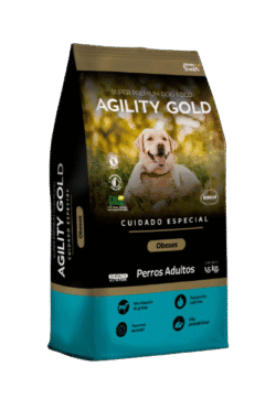 Obesos-frenet-AMEANIMAL1