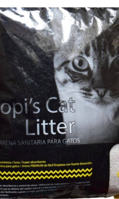 POPIS-CAT-LIMON-AMEANIMAL1