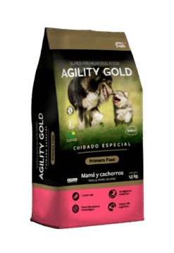 agility-primera-fase-AMEANIMAL1