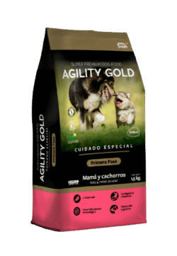 agility-primera-fase-AMEANIMAL1