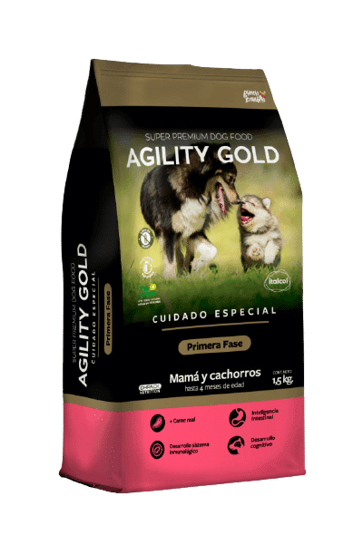 agility-primera-fase-AMEANIMAL1