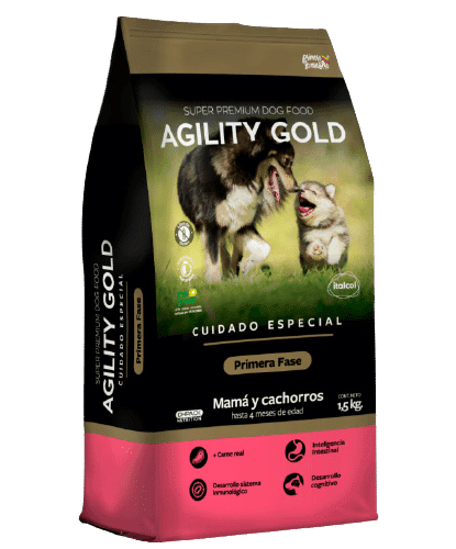 agility-primera-fase-AMEANIMAL1