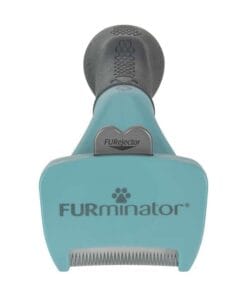 Furminator-gatos-pequeños-pelo-corto-AMEANIMAL1.0