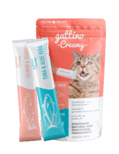 Gattino-sobres-AMEANIMAL1