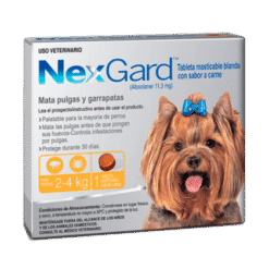 NexGard 2-4kg-AMEANIMAL1
