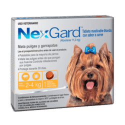 NexGard 2-4kg-AMEANIMAL1