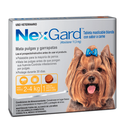 NexGard 2-4kg-AMEANIMAL1