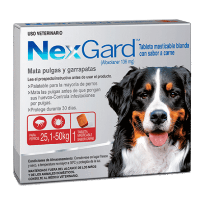 NexGard 25-50kg-AMEANIMAL1