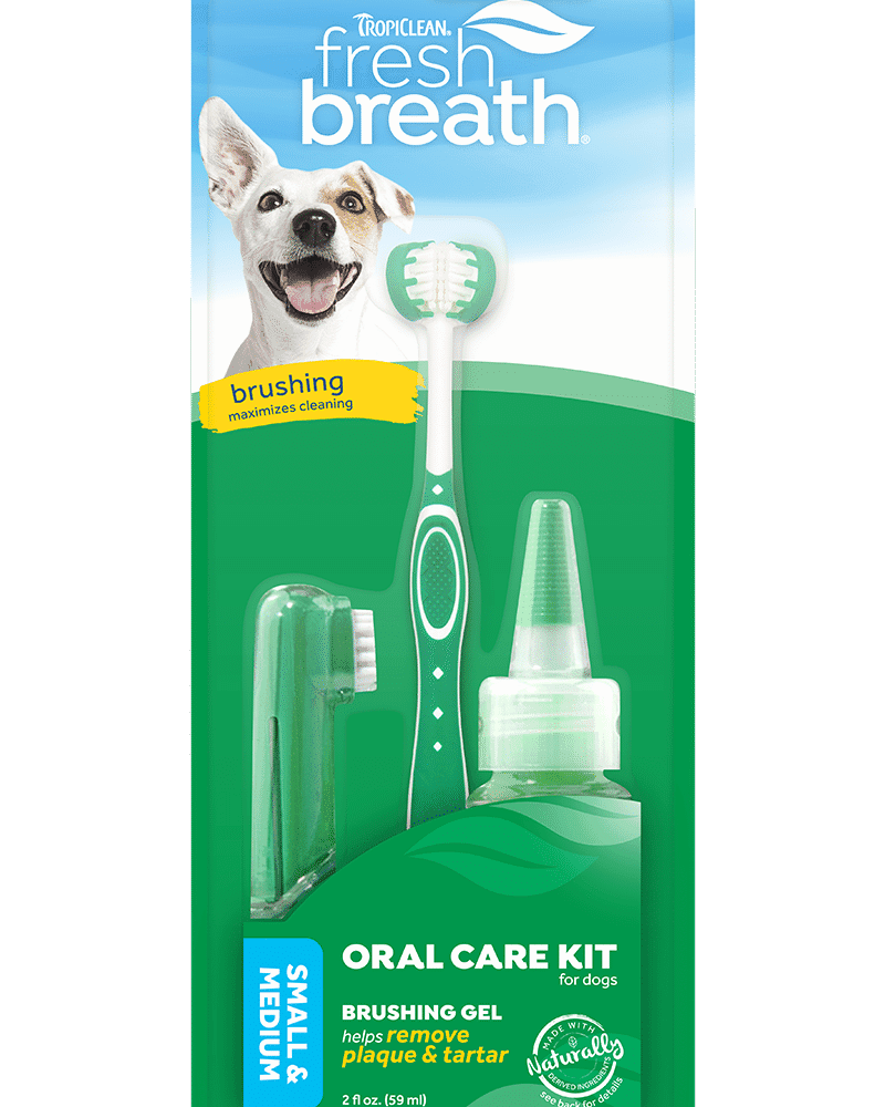 TC_FBR_Website-Image_Oral-Care-Kit_Small-Medium-Dogs_Front-AMEANIMAL1