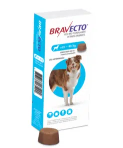 bravecto-20-40-AMEANIMAL1-CANV