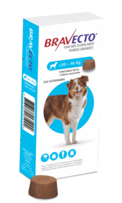 bravecto-20-40-AMEANIMAL1-CANV