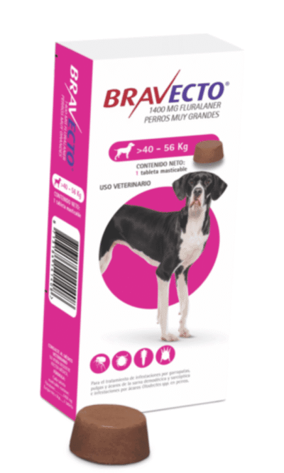 bravecto-40-56-AMEANIMAL1-CANV