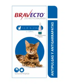 bravecto-spot-on.gato-2.8-AMEANIMAL1-CANV