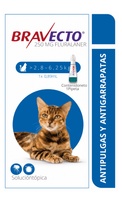 bravecto-spot-on.gato-2.8-AMEANIMAL1-CANV