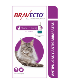 bravecto-spot-on.gato-6,25-AMEANIMAL1-CANV