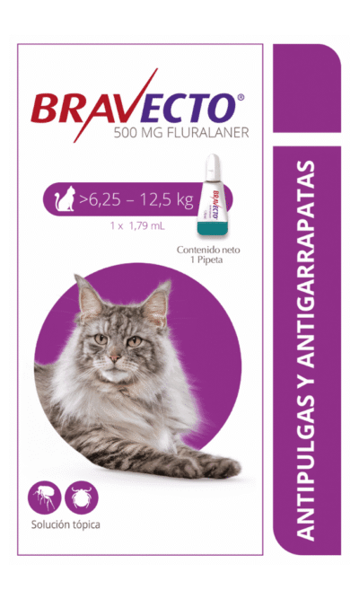 bravecto-spot-on.gato-6,25-AMEANIMAL1-CANV