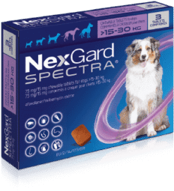 nexgard-spectra-15-grande-AMEANIMAL1