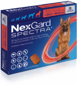 nexgard-spectra-extragrandes-AMEANIMAL1