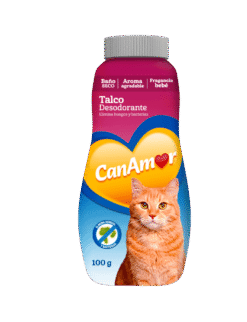 CanAmor_Talco_Gato_AMEANIMAL1