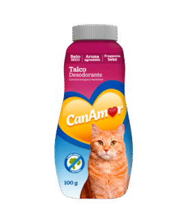 CanAmor_Talco_Gato_AMEANIMAL1