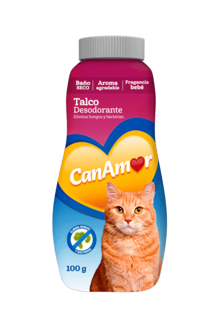 CanAmor_Talco_Gato_AMEANIMAL1