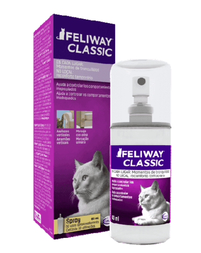 FELIWAY-CLASSIC-Spray-AMEANIMAL1