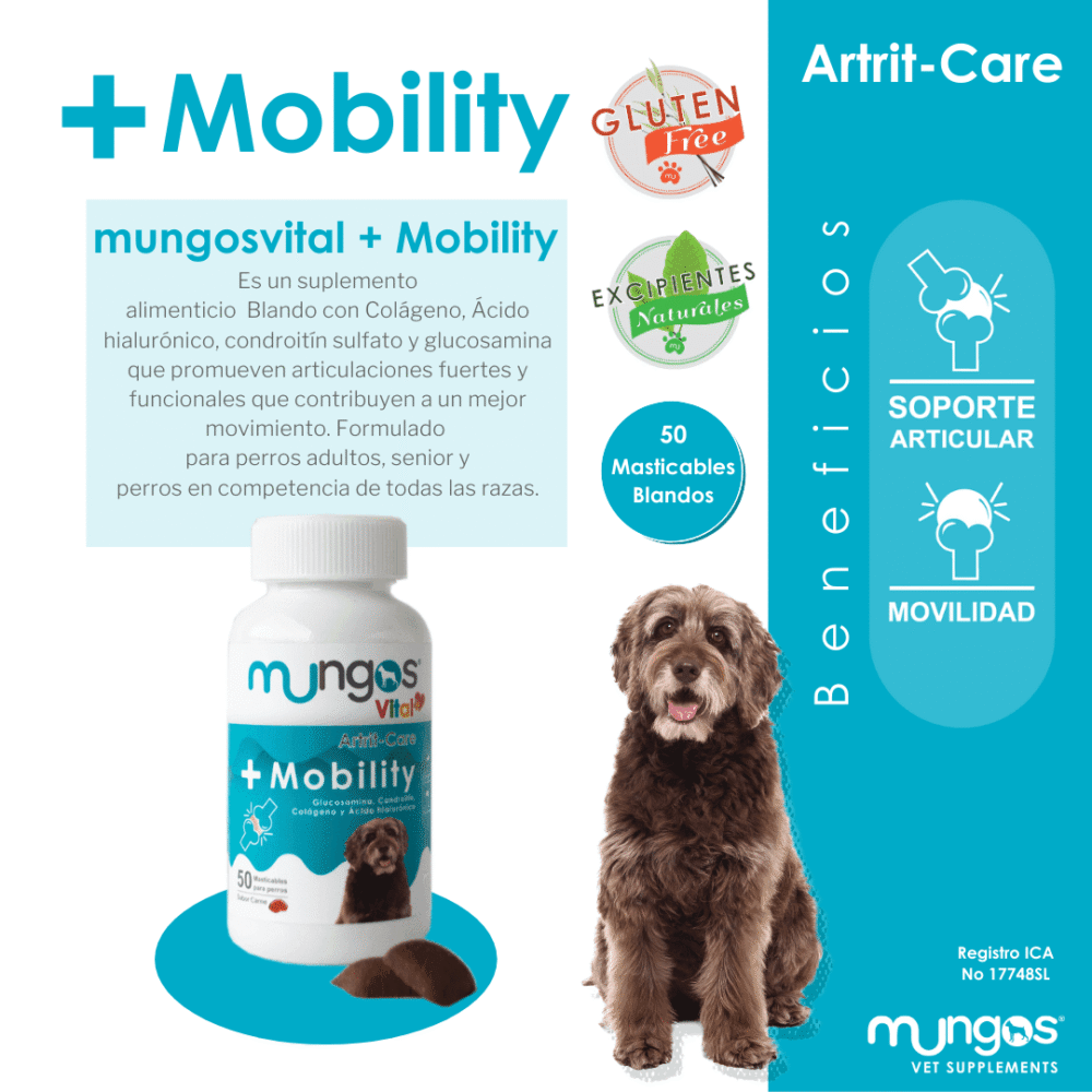 Mungos_Mobility-AMEANIMAL1