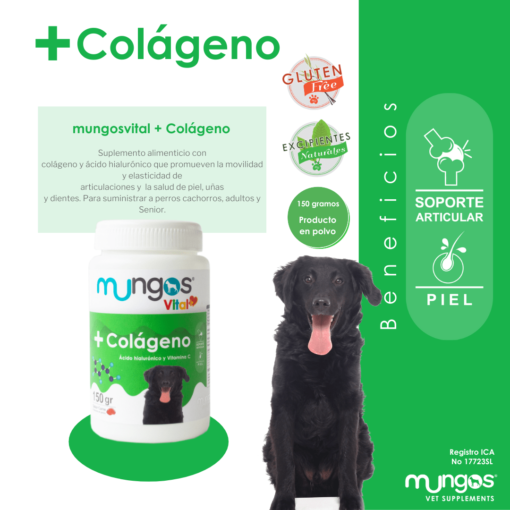 Mungos Vital + Colágeno para Perros 150 gr - Imagen 2