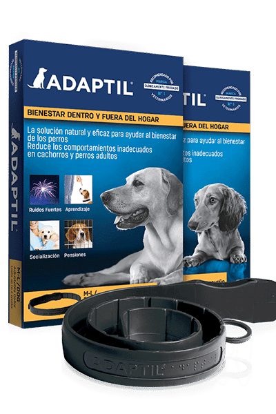 adaptil-collar-s-l-AMEANIMAL1