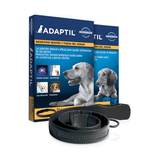 adaptil-collar-s-l-AMEANIMAL1