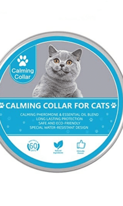 collar-calimg-gatos-AMEANIMAL1
