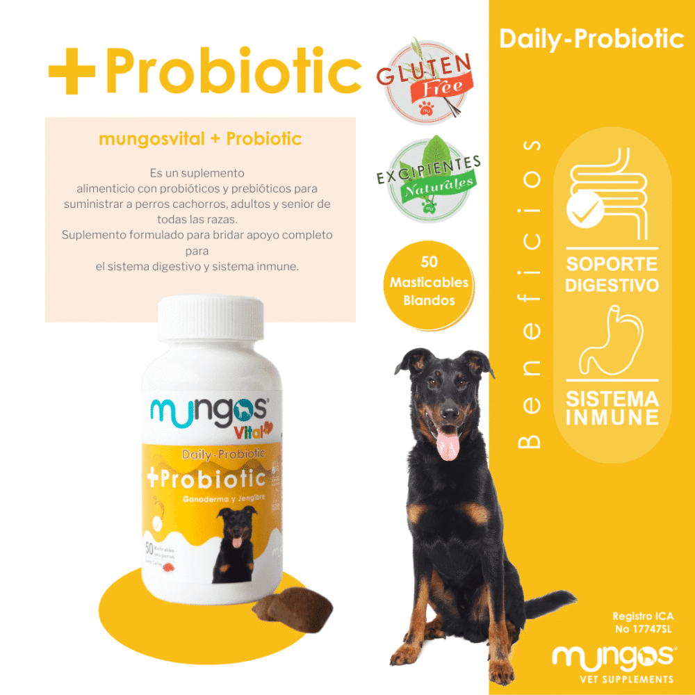 mungos-probiotic-AMEANIMAL1