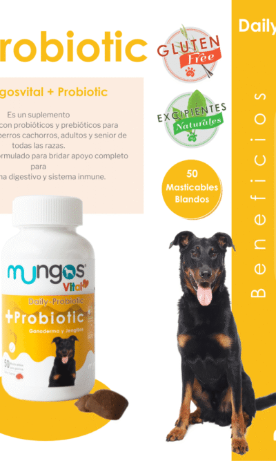 mungos-probiotic-AMEANIMAL1