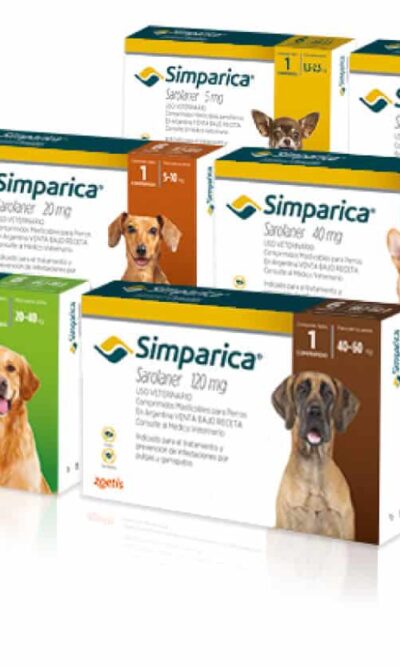 packs-simparica-AMEANIMAL1