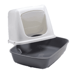 savic-gris-sintapa-AMEANIMAL1-canva