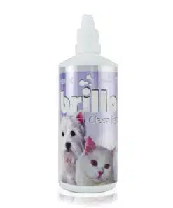Brillo-clean-eyes-AMEANIMAL1