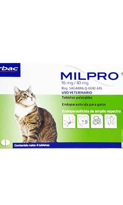 Milpro-gatos-MAYOR2Kg-AMEANIMAL1
