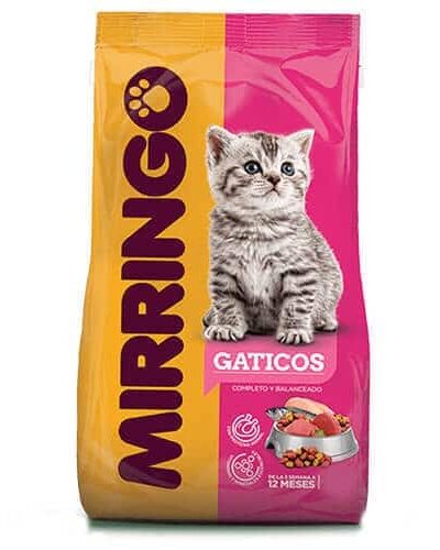 Mirringo-gatitos-AMEANIMAL1