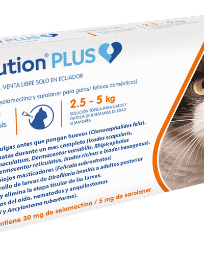 Revolution Plus Interno Y Externo Gatos ame animal