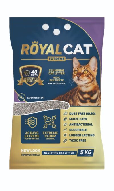 Royal-cat-lavanda-AMEANIMAL1