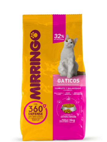 mirringo gaticos ame animal