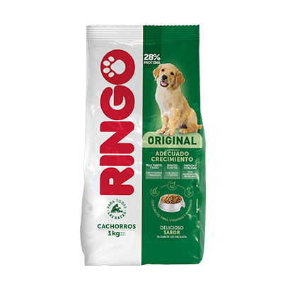ringo croquetas cachorro perro ame animal