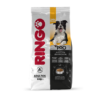 ringo pro adulto perro ame animal