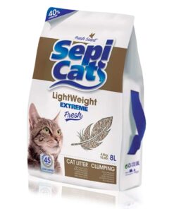 sepi-cat-arena-AMEANIMAL1