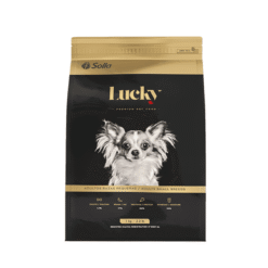 Lucky-adultos-razas-pequeñas-AMEANIMAL1