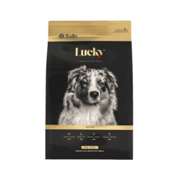 Lucky-adultos-senior-AMEANIMAL1