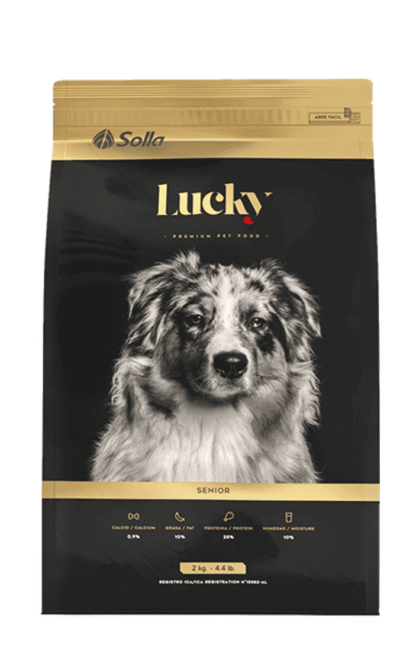 Lucky-adultos-senior-AMEANIMAL1